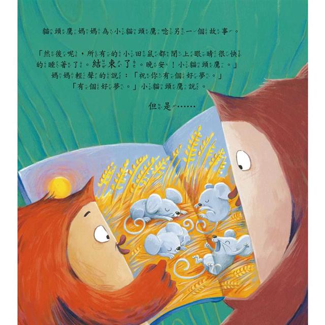 小貓頭鷹的上床時間